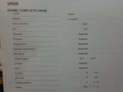 urine_completo2.png